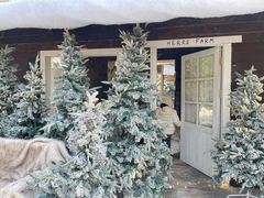 -HERRE·FARM 赫尔露营农场·团建聚会包场