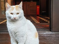 -Circle圆·花园西餐厅