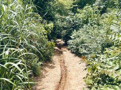 -青龙山国家森林公园