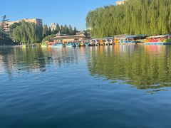 -团结湖公园