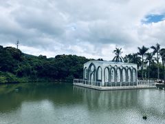 -玫瑰小镇