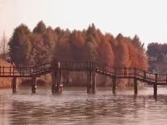 -梁鸿国家湿地公园