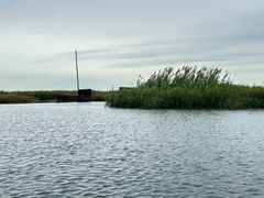 -苏州太湖湖滨国家湿地公园