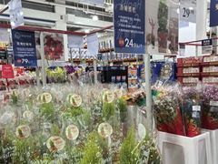 -山姆会员商店(亦庄创意生活广场店)