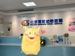 -北京观赏动物医院·24小时大型综合·猫专科·异宠专科