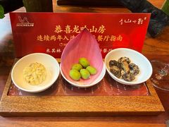 龙吟迎客小茶点-龙吟山房(青龙山庄店)
