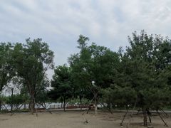 -东郊湿地公园