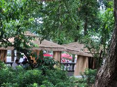-桃源山庄·水蜜桃采摘·柴火鸡·烧烤团建(龙泉山店)