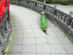 -都江堰普照寺