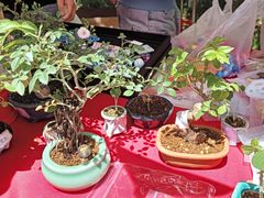 -首都医科大学附属北京友谊医院(西城院区)