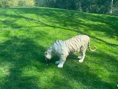 -北京野生动物园