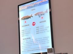 -全乐鱼馆·淳牌有机鱼直营店