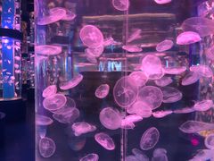 -石林冰雪海洋世界