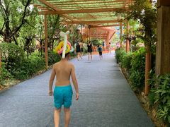 -杭州开元森泊度假乐园