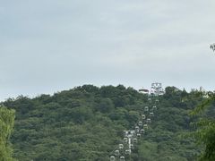 -富斯特索道