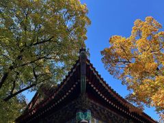 -香山公园