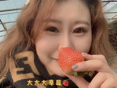 -甜心庄园·甜心草莓采摘园(西青中北店)