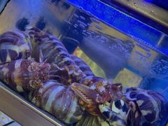 -富来美食(成发大厦店)