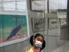 -房山世界地质公园博物馆