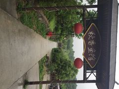 世凹桃源秋香鱼馆-秋香鱼馆(世凹桃园店)