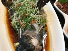 -梧桐餐厅(泉城路店)