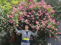 -小时光咖啡馆(北锣鼓巷店)