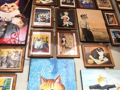 -猫咪博物馆(顶澳仔猫街店)