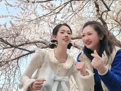 -桃花堤公园