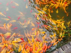 -武汉紫薇都市田园