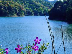 -广州市石门国家森林公园