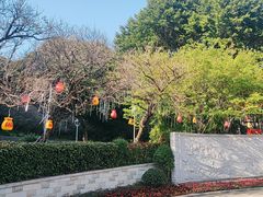 -金鸡山公园