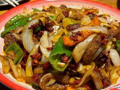 -柴窝堡22号辣子鸡·传承新疆菜