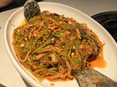 -院8里·小聚园(九眼桥店)