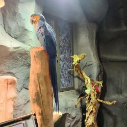 -Zoolung Zoolung动物主题公园(海信广场店)