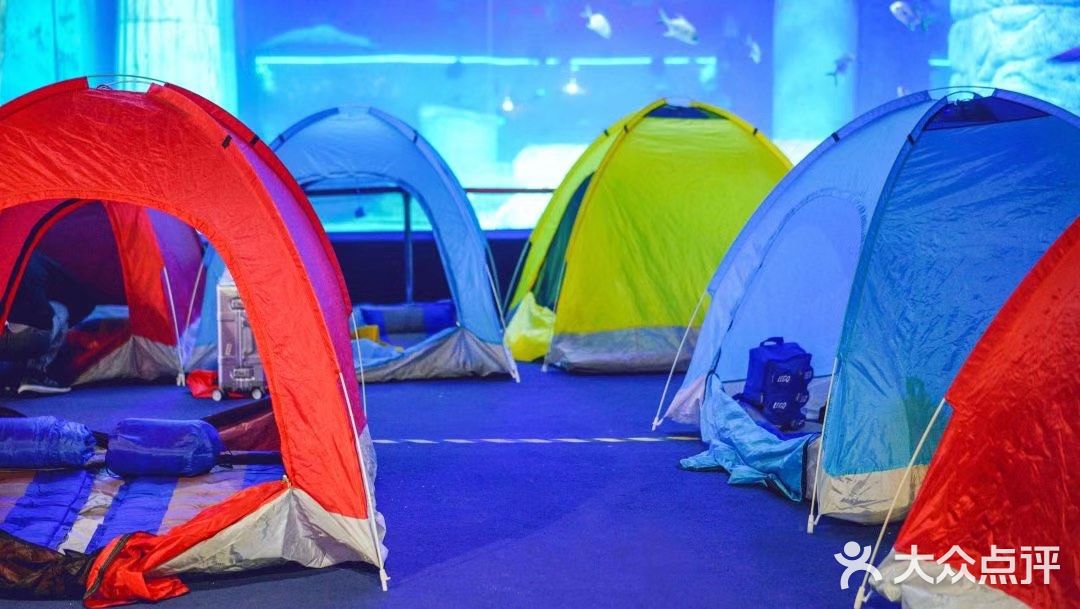 正佳极地海洋世界，打卡180°水晶海底！