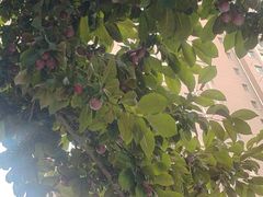 -鼎泰中汇广场