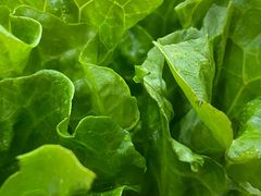 -香满锅老北京羊蝎子火锅·家常菜(新街口店)