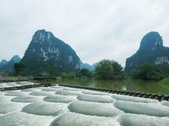 -明仕田园