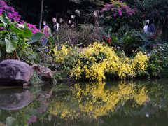 -深圳仙湖植物园