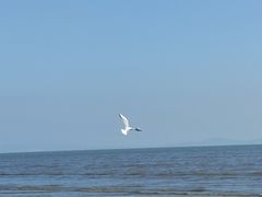 -青岛海泉湾度假区温泉