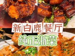 -新白鹿餐厅(城西银泰城店)