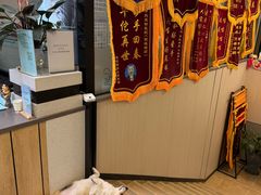 -半岛宠物医院24小时(西派城店)