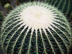 -南山植物园