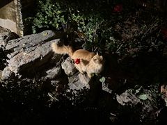 -天毓山庄·餐厅