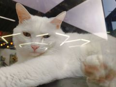 -弓舍射箭俱乐部(高新总店)