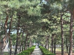 -石家庄市植物园