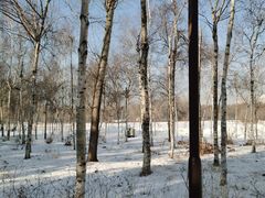 -长春市南湖公园