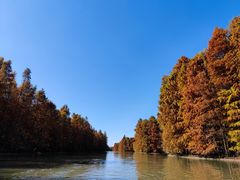 -上海海湾国家森林公园