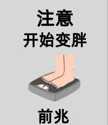 -Fundi张玉珊修身堂·indiba·BTL科技瘦身