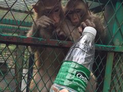 -藏龙百瀑风景区